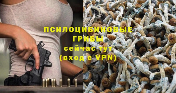 a pvp Алзамай