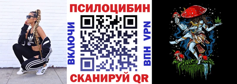 Купить где Цоци-Юрт Галлюциногенные грибы Psilocybine cubensis
